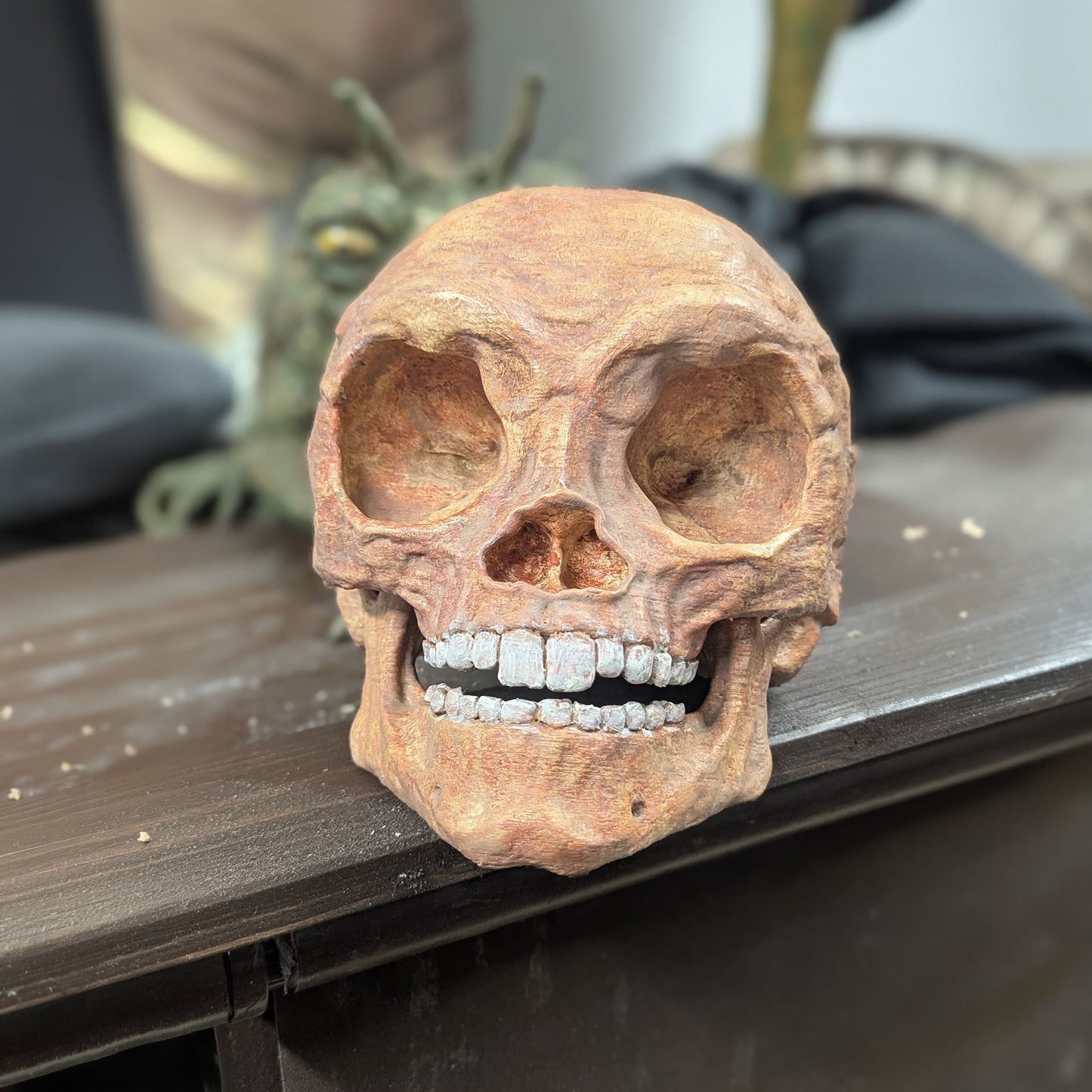 Forest Moon Bear Skull – Life Size Kit