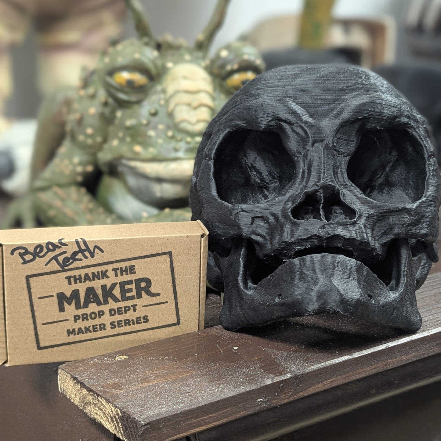 Forest Moon Bear Skull – Life Size Kit