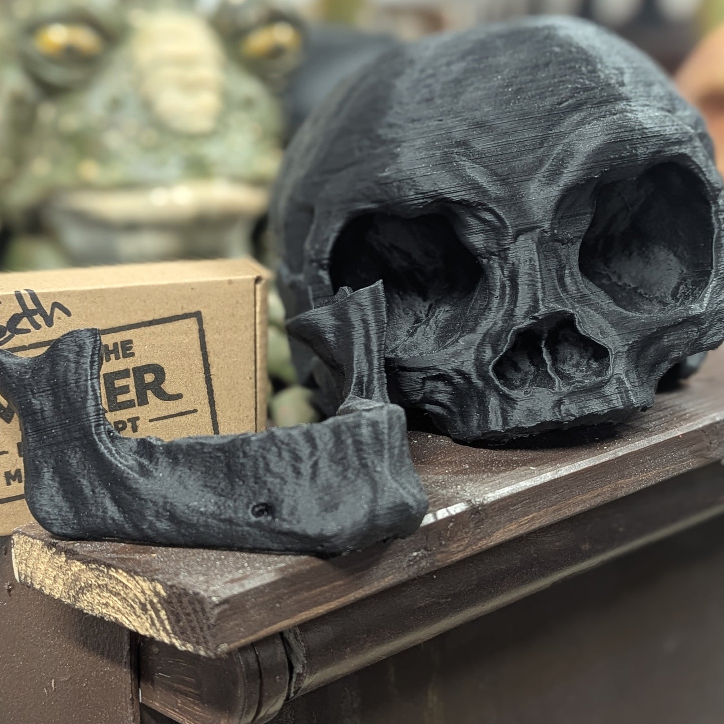 Forest Moon Bear Skull – Life Size Kit